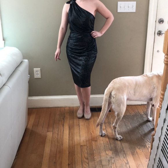 David Meister Dresses & Skirts - David Meister 6 one shoulder black midi dress